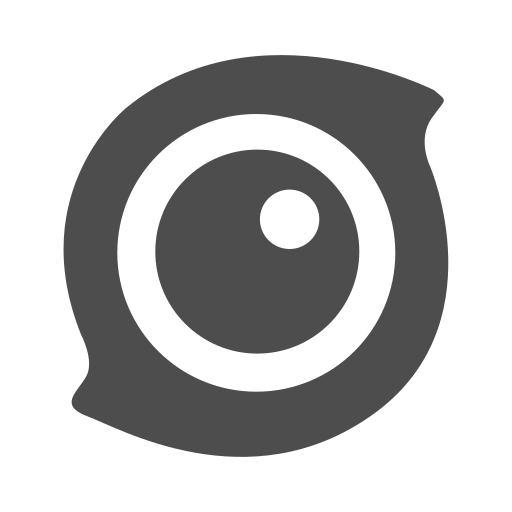 3D Surround Camera
